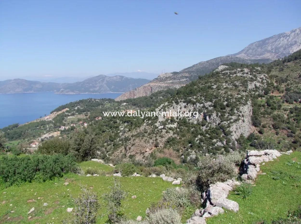 Für Den Verkauf In Faralya Faralya Mit Meerblick Und 11,286M2 Grundstück Zum Verkauf Tourismus