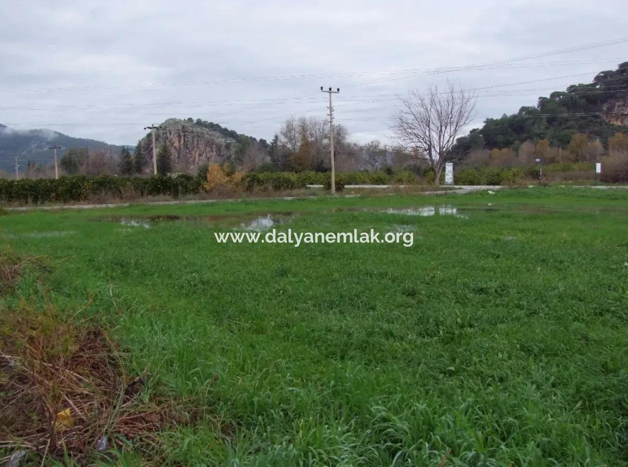 Gulpinar Dalyan Dalyan Zum Verkauf In 1002M2 Grundstück Für Verkauf Zum Verkauf Eckstein