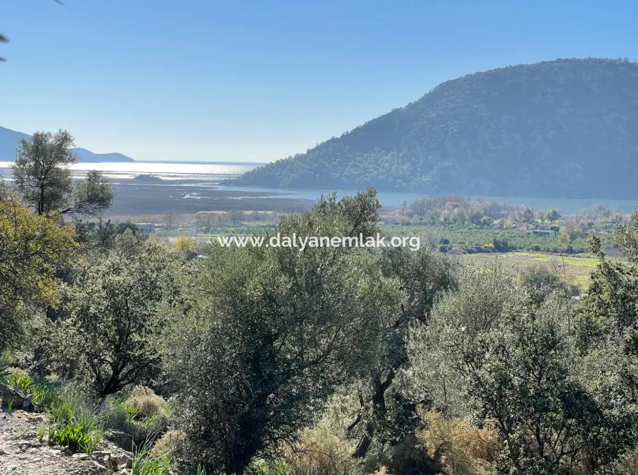 950M2 2B Feld Zum Verkauf Mit Meer- Und Seeblick In Çandır