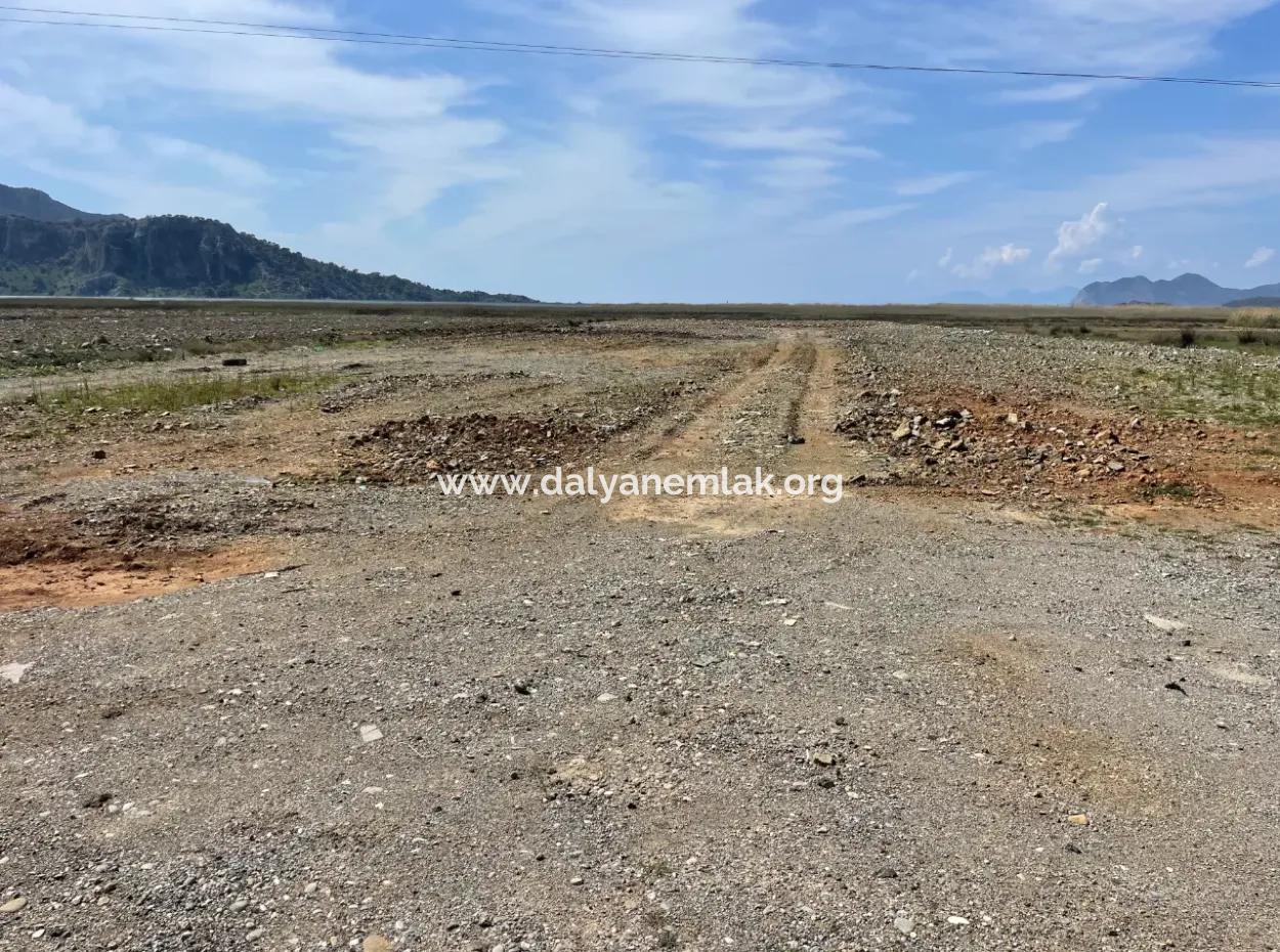 Dalyan Iztuzu Strand Straße Null 19.600M2 Feld Land Zum Verkauf