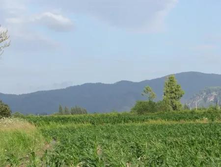 Bauernhof Zum Verkauf In Der Nähe Des Zentrums Von Dalyan,14, 612M2 Bauernhof Zum Verkauf