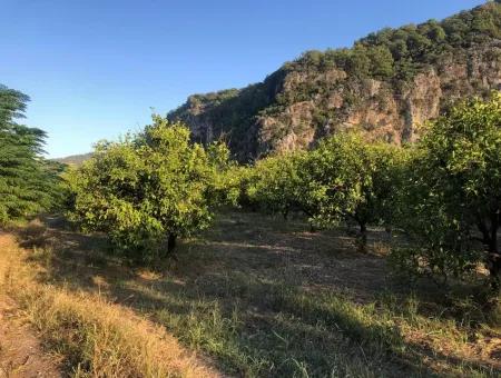 Bogenschützen 1359M2 Grundstück Für Verkauf Für Verkauf