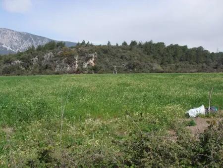 In Akyaka Zum Verkauf: Grundstück Zum Verkauf Bauernhof Zum Verkauf Einer Farm In Der Nähe Vom Meer, In Ars, Yatirimlik 21625M2