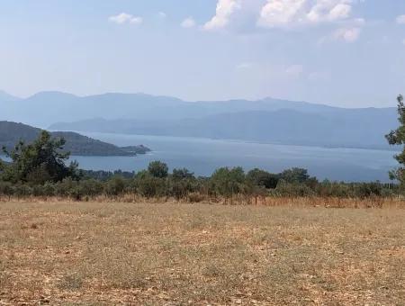 11.227M2 Grundstück Zum Verkauf Mit Seeblick In Köyceğiz Zeytinalan