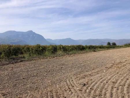 Ackerland Zu Verkaufen In Esköy 8500M2 Ackerland Zu Verkaufen