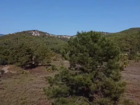 Land Zum Verkauf In 'Aml'da Marmaris 'Aml'da Meerblick 11720M2 Land Zu Verkaufen