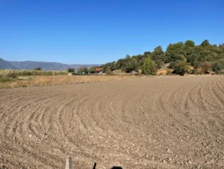 6254M2 Feld Zum Verkauf In Der Nähe Von Dalyan In Eskiköy