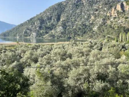 1.136M2 Feldgrundstück Zum Verkauf Mit Çandır Seeblick