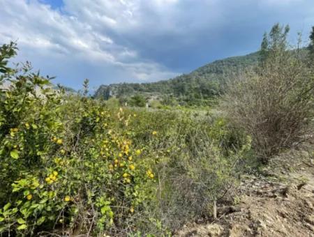 5000M2 Feld Zum Verkauf Am Anfang Der Straße In Çandır