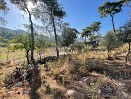 1.320M2 Feld Zum Verkauf Im Zentrum Von Çandır Am Wald