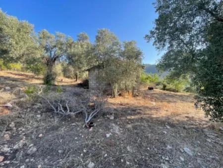 Çandır Voller Meer- Und Seeblick 500M2 2B Feld Zu Verkaufen