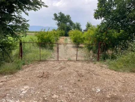 2.528M2 Feld Zum Verkauf In Der Nähe Des Zentrums Von Dalyan