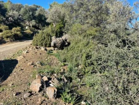 2B Grundstück Zum Verkauf Mit Meerblick In Çandır