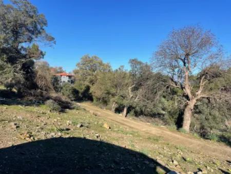 2B Grundstück Zum Verkauf Mit Meerblick In Çandır