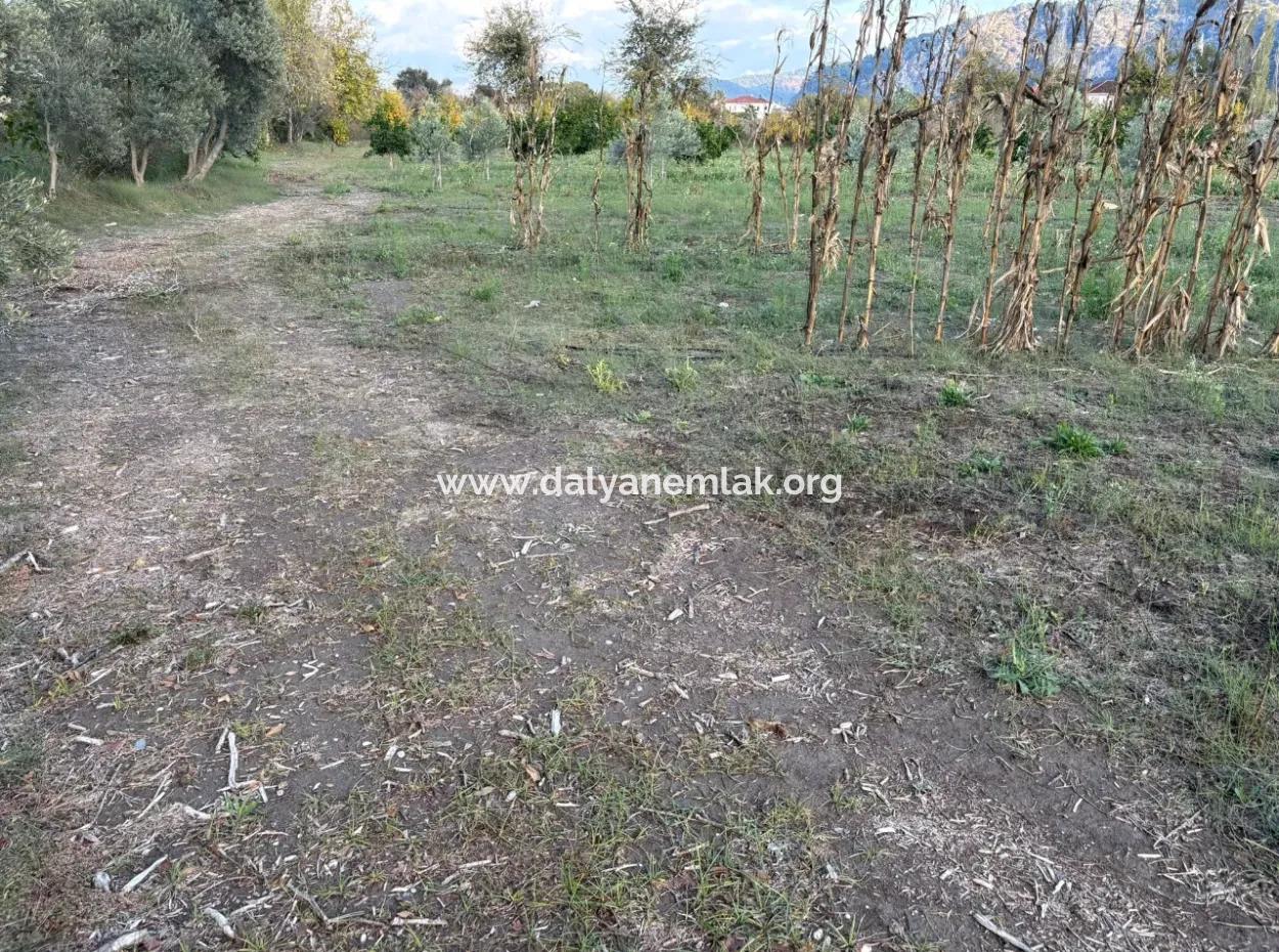 7,450M2 Land For Sale Close To The Center Of Dalyan