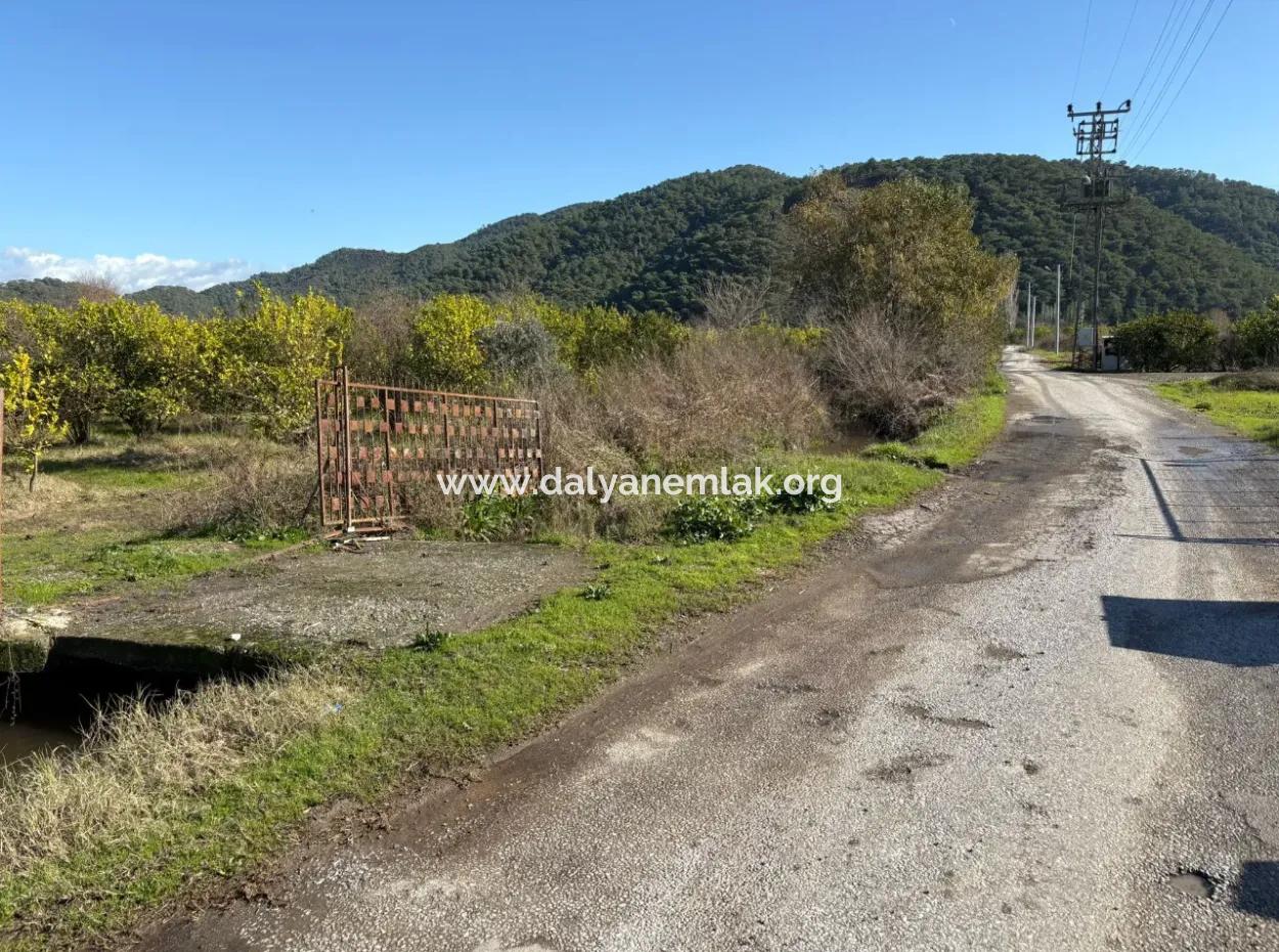 23,000M2 Detached Field Garden For Sale In Tepearasin,