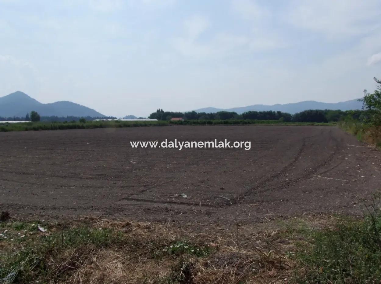 Farm For Sale In Dalyan Eskikoy Eskikoy Oriya 14,900M2 Plot For Sale Field