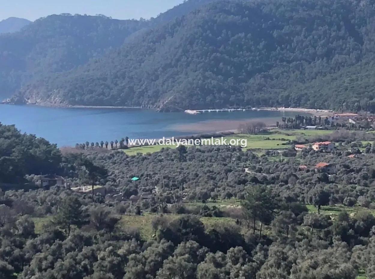 For Sale In Ekincik 5,391M2 Plot For Sale