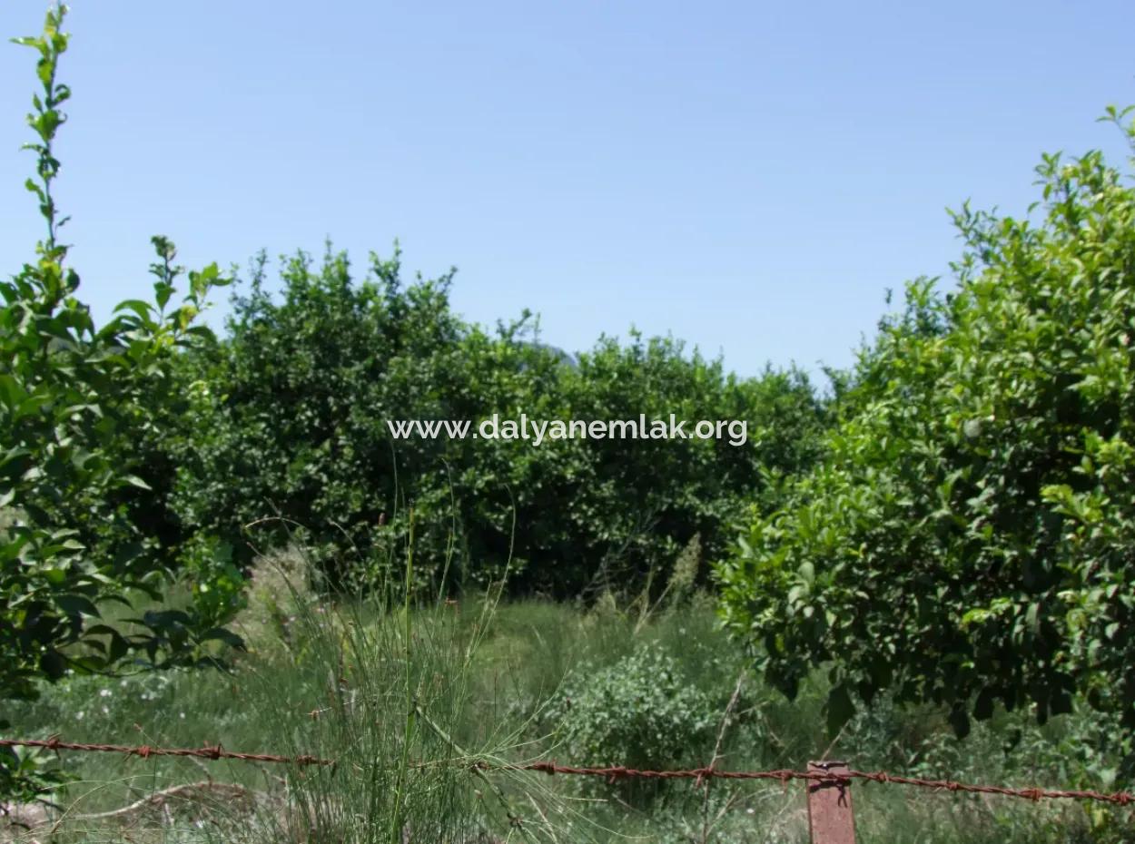 Land For Sale In Fevziyede 1197M2 Land For Sale