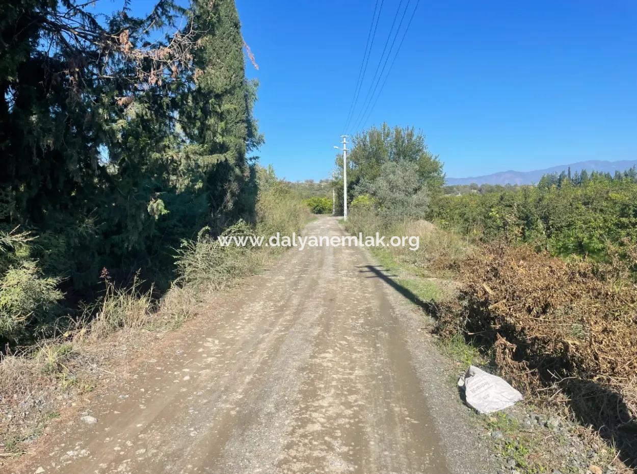 2223M2 Fields For Sale In Dalyan