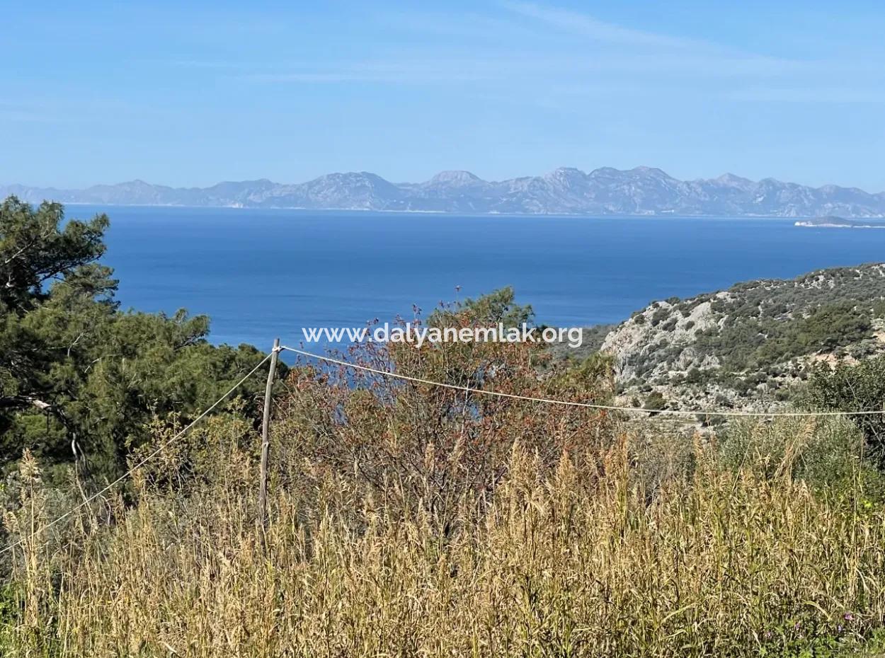 Village House For Sale In 4,400M2 Land With Full Sea View In Gökbel