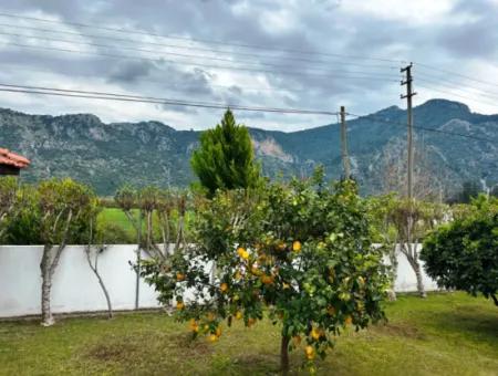 3 1 Villas For Sale In A Plot Of 645M2 In Arıkbaşı, Dalyan