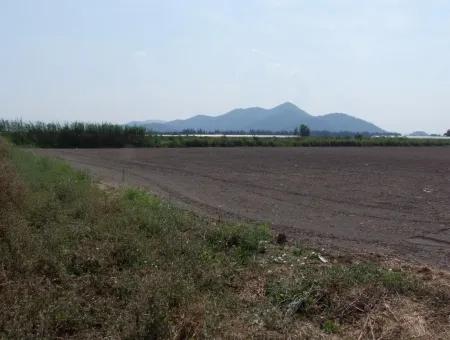 Farm For Sale In Dalyan Eskikoy Eskikoy Oriya 14,900M2 Plot For Sale Field