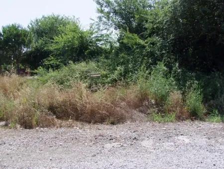 Gurpinar In Dalyan For Sale Dalyan Land For Sale, Plot For Sale In Köşebaşı 993M2 0 60