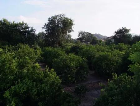 Near The Centre Of Dalyan In Dalyan Plot For Sale For Sale 987M2