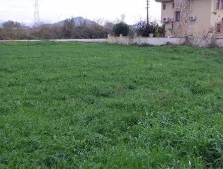 Gulpinar Dalyan Dalyan For Sale In 1002M2 Plot For Sale For Sale Cornerstone