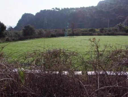 For Sale In Koycegiz, Dalyan Plot For Sale 10629M2