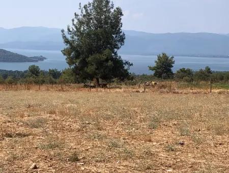 11.227M2 Land For Sale With Lake Views In Köyceğiz Zeytinalanı