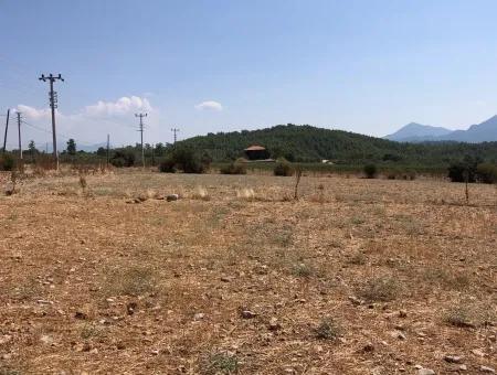 11.227M2 Land For Sale With Lake Views In Köyceğiz Zeytinalanı