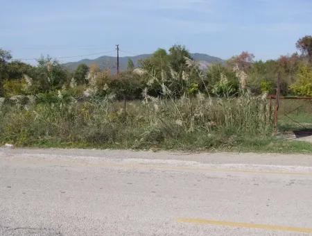 Land For Sale In Guzelyurt Land For Sale Zero 5515M2 Land For Sale On The Main Road