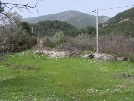 In Incirkoy Uzumlu Fethiye Plot For Sale Farm For Sale In Incirkoy