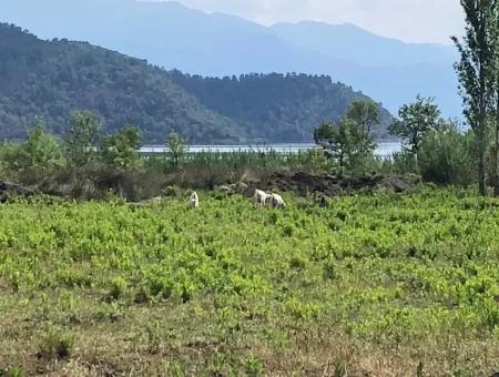 Sultaniye Sultaniye Koycegiz Lake Plot For Sale For Sale In By The Sea