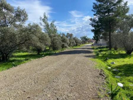 401M2 Land For Sale In Ortaca Cumhuriyet Neighborhood