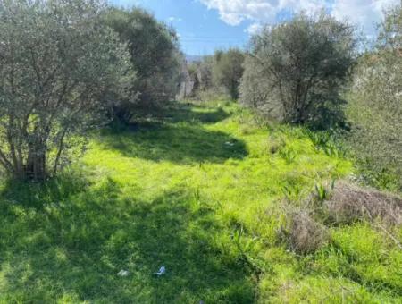 401M2 Land For Sale In Ortaca Cumhuriyet Neighborhood