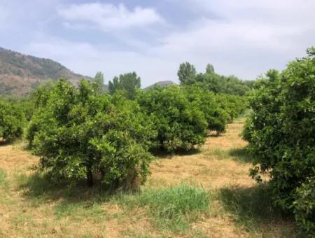 Land For Sale In Sourliyurtda 1085M2