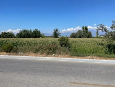 Dalyan Main Road Zero Land For Sale 8115M2 Commercial Land For Sale