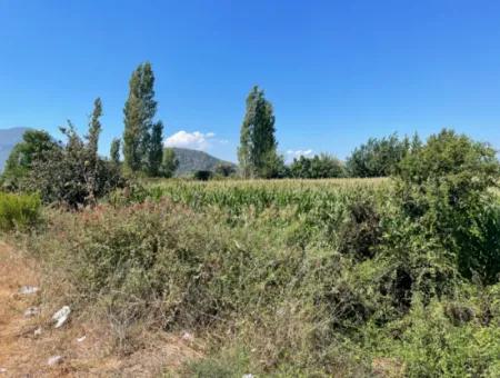 Dalyan Main Road Zero Land For Sale 8115M2 Commercial Land For Sale