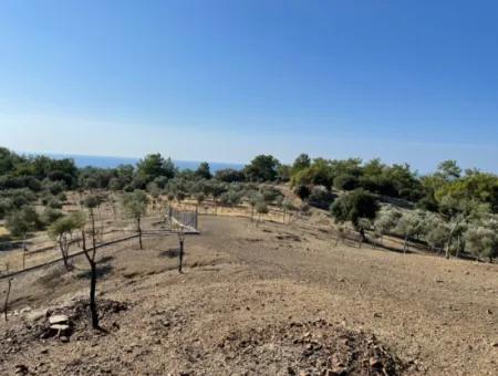 Land For Sale With Sea View Of Çandir