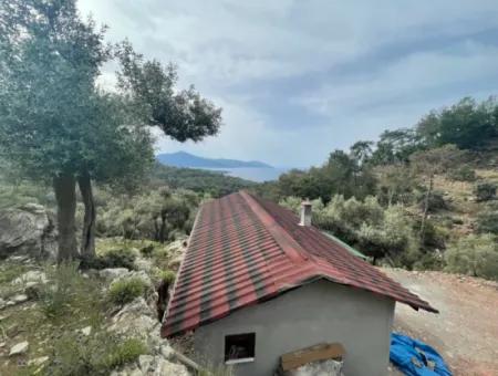 Olive House With Sea View In Ekincik Is For Sale