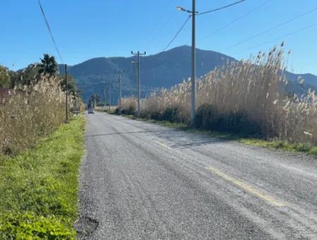 Dalyan Iztuzu Road Zero 5216M2 Field Plot For Sale