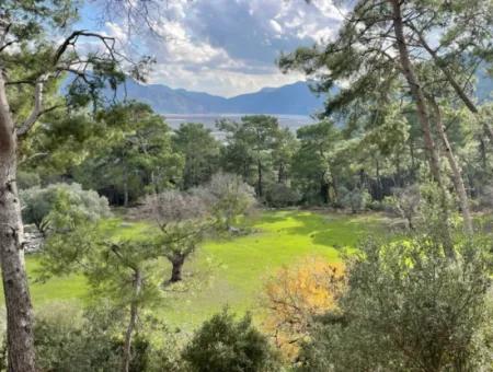 10,707M2 2B Field For Sale With Sea Lake View In Çandır