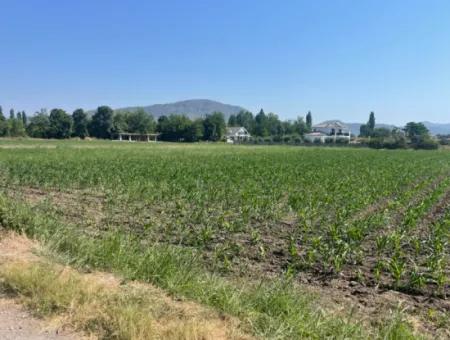 Land For Sale Of 2715M2 In The Built-Up Area Of The Village In Okçular