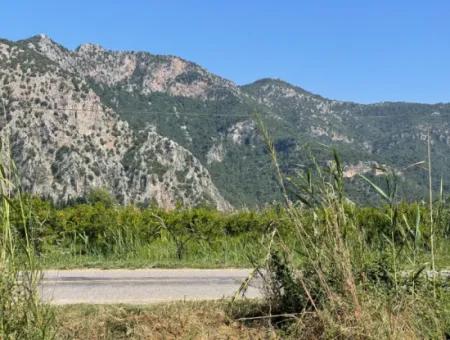 6,500M2 Field For Sale On The Iztuzu Road In Dalyan