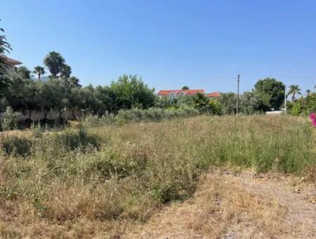 Land For Sale In Dalyan Gülpınar 500M2