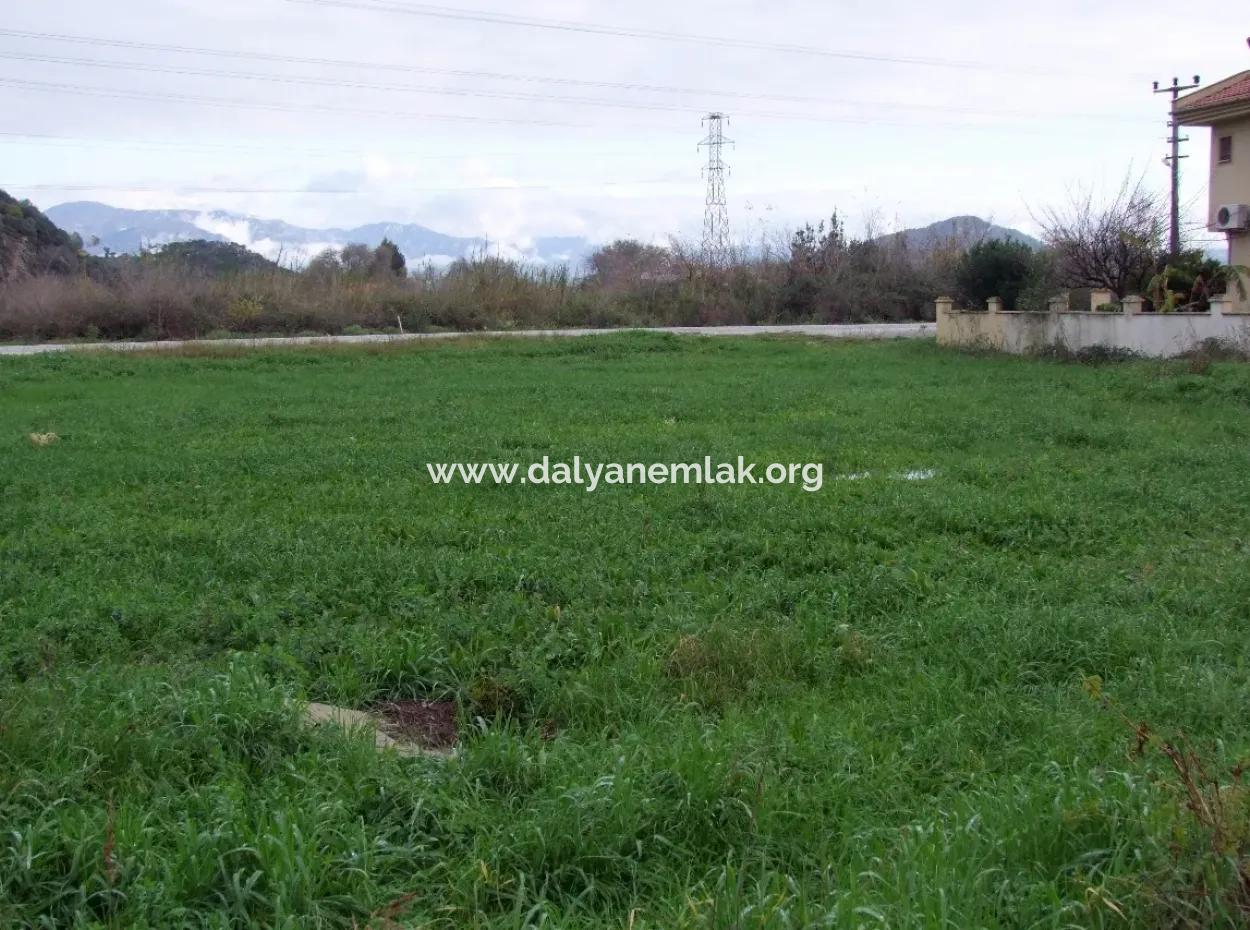 Dalyan Gülpınar Satılık Arsa Dalyan 1,002M2 Satılık Köşenası Satılık Arsa