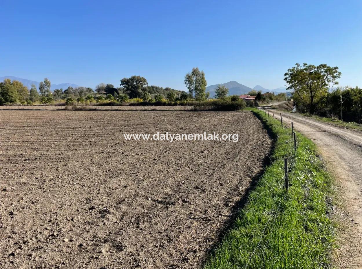 Eskiköyde Dalyan Yakın 6254M2 Satılık Tarla